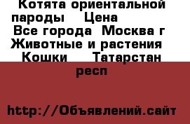 Котята ориентальной пароды  › Цена ­ 12 000 - Все города, Москва г. Животные и растения » Кошки   . Татарстан респ.